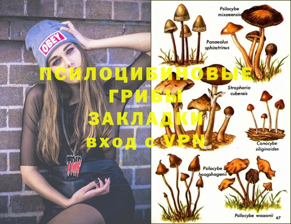 спиды Абдулино