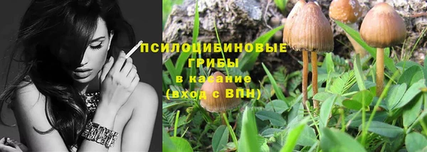 прущие крисы Абаза