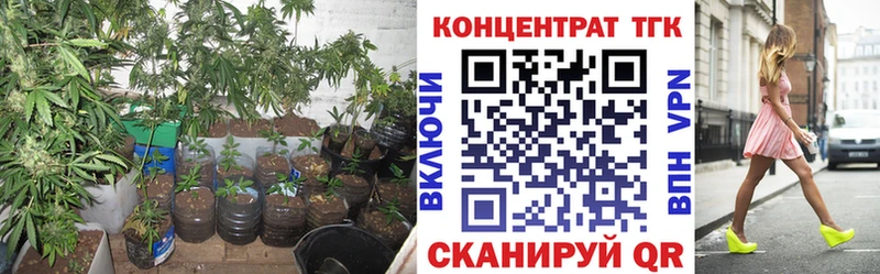 дарнет шоп  Эртиль  mega рабочий сайт  ТГК гашишное масло 