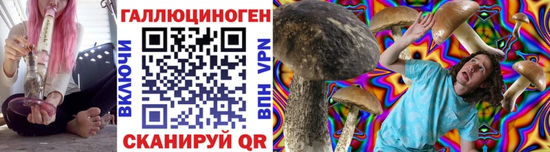 Галлюциногенные грибы Psilocybe  МЕГА вход  Эртиль  продажа наркотиков 